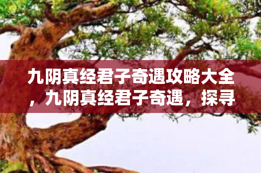 九阴真经君子奇遇攻略大全，九阴真经君子奇遇，探寻武侠世界的君子之道