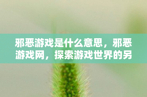 邪恶游戏是什么意思，邪恶游戏网，探索游戏世界的另一面
