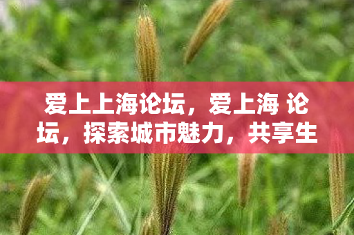爱上上海论坛，爱上海 论坛，探索城市魅力，共享生活精彩