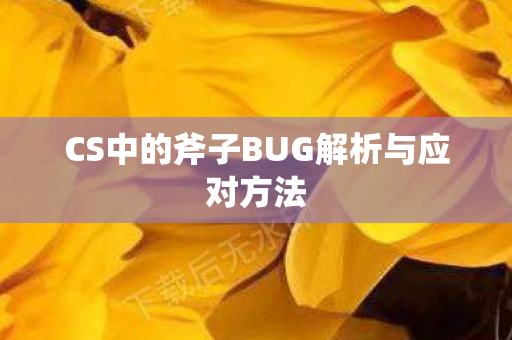 CS中的斧子BUG解析与应对方法