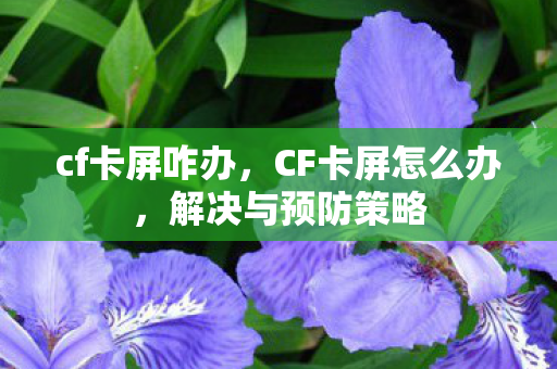 cf卡屏咋办，CF卡屏怎么办，解决与预防策略