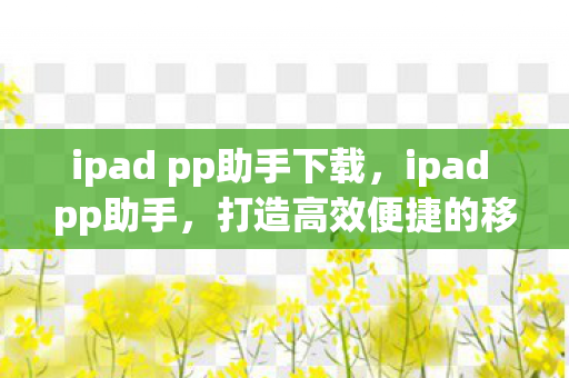 ipad pp助手下载，ipad pp助手，打造高效便捷的移动设备管理新体验
