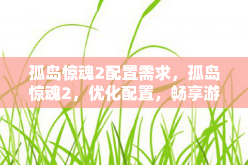 孤岛惊魂2配置需求，孤岛惊魂2，优化配置，畅享游戏盛宴
