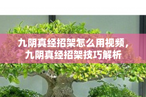 九阴真经招架怎么用视频，九阴真经招架技巧解析