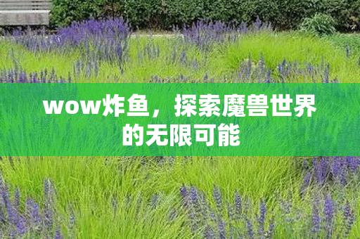 wow炸鱼，探索魔兽世界的无限可能