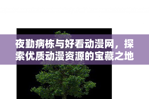 夜勤病栋与好看动漫网，探索优质动漫资源的宝藏之地