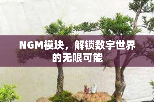NGM模块，解锁数字世界的无限可能