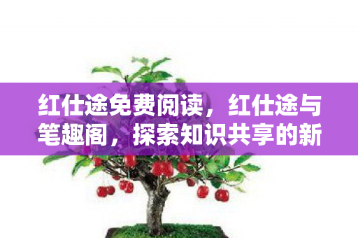 红仕途免费阅读，红仕途与笔趣阁，探索知识共享的新境界