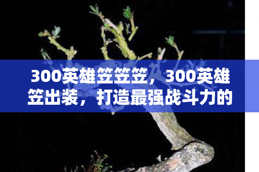 300英雄笠笠笠，300英雄笠出装，打造最强战斗力的关键