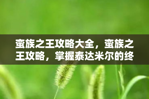 蛮族之王攻略大全，蛮族之王攻略，掌握泰达米尔的终极技巧