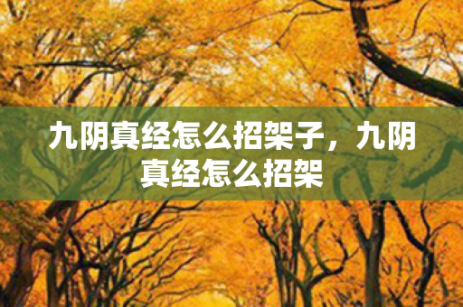 九阴真经怎么招架子，九阴真经怎么招架