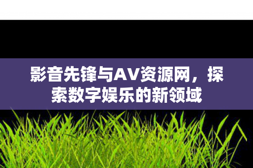影音先锋与AV资源网，探索数字娱乐的新领域