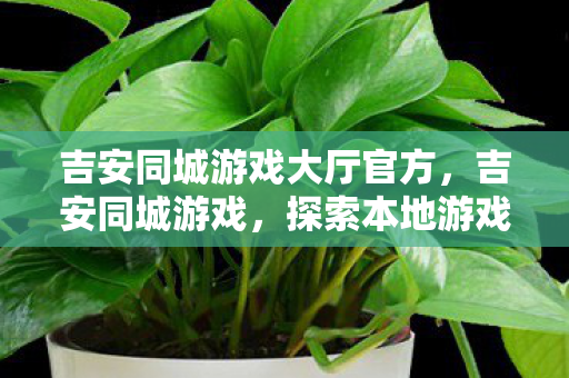 吉安同城游戏大厅官方，吉安同城游戏，探索本地游戏文化的魅力