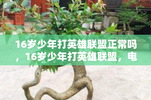 16岁少年打英雄联盟正常吗，16岁少年打英雄联盟，电竞之路的奋斗与成长