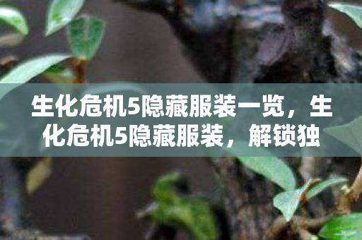 生化危机5隐藏服装一览，生化危机5隐藏服装，解锁独特外观，提升游戏乐趣
