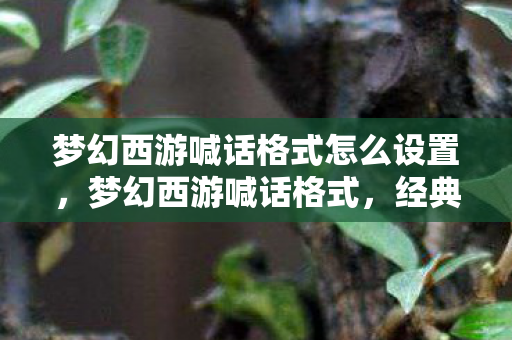 梦幻西游喊话格式怎么设置，梦幻西游喊话格式，经典再现，情怀无限