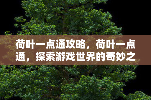荷叶一点通攻略，荷叶一点通，探索游戏世界的奇妙之旅