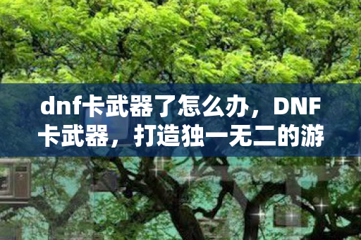 dnf卡武器了怎么办，DNF卡武器，打造独一无二的游戏利器