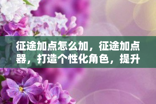 征途加点怎么加，征途加点器，打造个性化角色，提升游戏体验