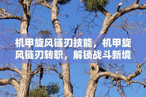 机甲旋风链刃技能，机甲旋风链刃转职，解锁战斗新境界