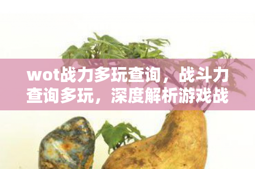 wot战力多玩查询，战斗力查询多玩，深度解析游戏战斗力的奥秘
