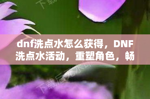 dnf洗点水怎么获得，DNF洗点水活动，重塑角色，畅享无限可能