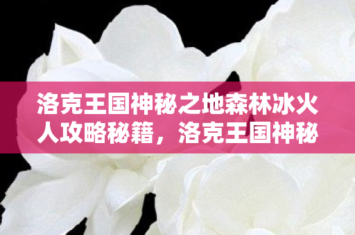 洛克王国神秘之地森林冰火人攻略秘籍，洛克王国神秘之地，探索未知领域的奇幻之旅