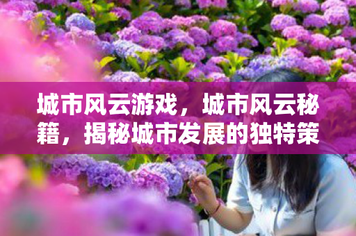 城市风云游戏，城市风云秘籍，揭秘城市发展的独特策略与智慧