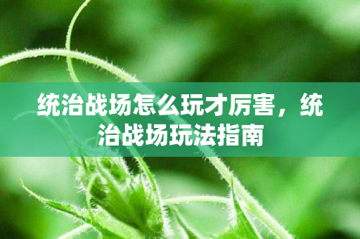 统治战场怎么玩才厉害，统治战场玩法指南