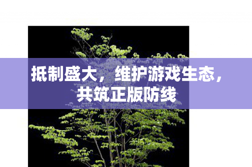 抵制盛大，维护游戏生态，共筑正版防线