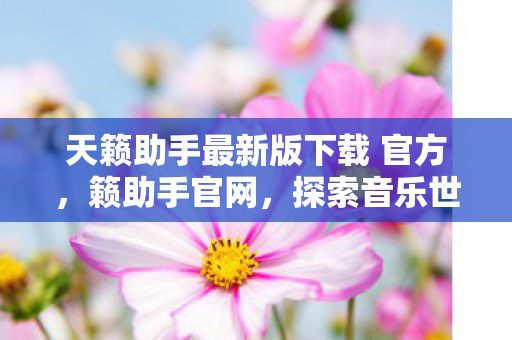 天籁助手最新版下载 官方，籁助手官网，探索音乐世界的无限可能