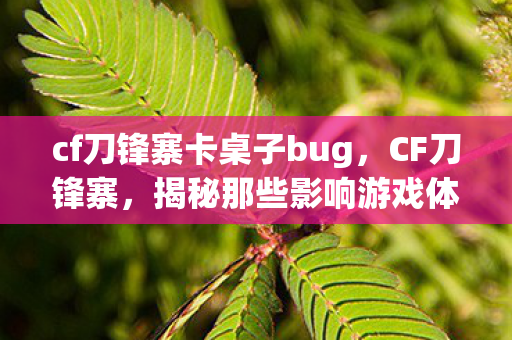 cf刀锋寨卡桌子bug，CF刀锋寨，揭秘那些影响游戏体验的BUG