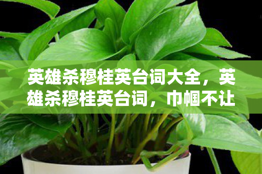 英雄杀穆桂英台词大全，英雄杀穆桂英台词，巾帼不让须眉，智勇双全的女将军