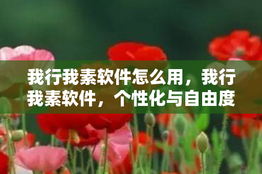 我行我素软件怎么用，我行我素软件，个性化与自由度的完美融合