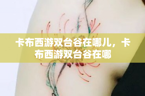卡布西游双台谷在哪儿，卡布西游双台谷在哪