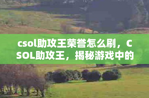 csol助攻王荣誉怎么刷，CSOL助攻王，揭秘游戏中的助攻艺术