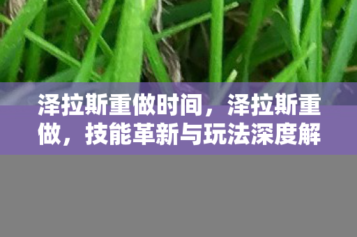 泽拉斯重做时间，泽拉斯重做，技能革新与玩法深度解析