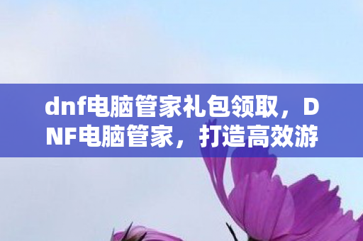 dnf电脑管家礼包领取，DNF电脑管家，打造高效游戏体验的必备工具