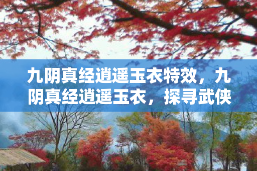 九阴真经逍遥玉衣特效，九阴真经逍遥玉衣，探寻武侠世界的神秘瑰宝
