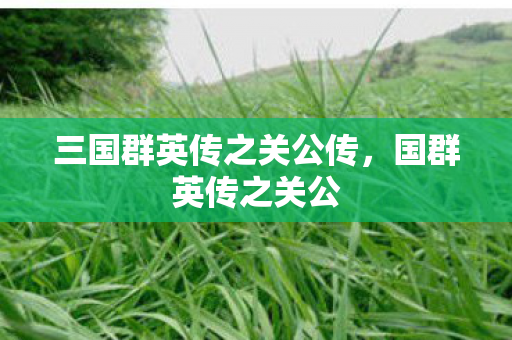 三国群英传之关公传，国群英传之关公