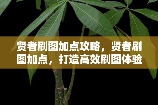 贤者刷图加点攻略，贤者刷图加点，打造高效刷图体验