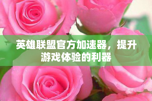 英雄联盟官方加速器，提升游戏体验的利器