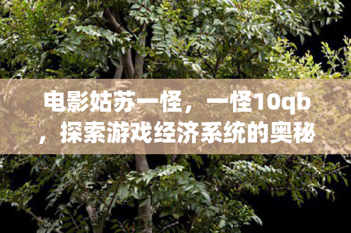 电影姑苏一怪，一怪10qb，探索游戏经济系统的奥秘
