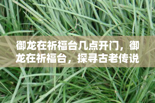 御龙在祈福台几点开门，御龙在祈福台，探寻古老传说中的神秘之地