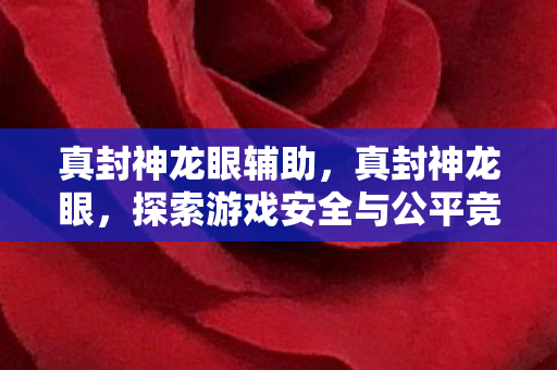 真封神龙眼辅助，真封神龙眼，探索游戏安全与公平竞技的边界