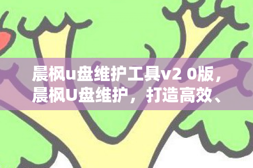 晨枫u盘维护工具v2 0版，晨枫U盘维护，打造高效、安全的系统维护新方案