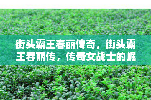 街头霸王春丽传奇，街头霸王春丽传，传奇女战士的崛起