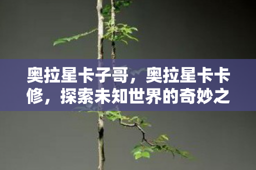 奥拉星卡子哥，奥拉星卡卡修，探索未知世界的奇妙之旅