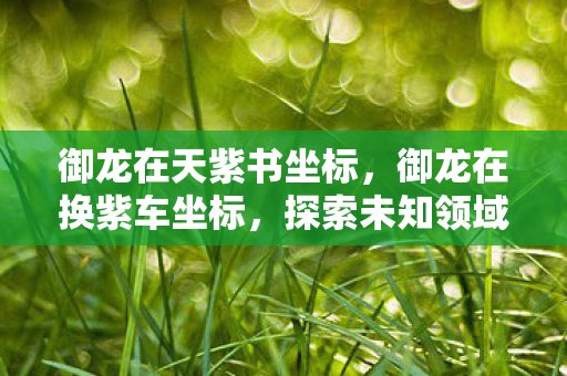 御龙在天紫书坐标，御龙在换紫车坐标，探索未知领域的奇幻之旅