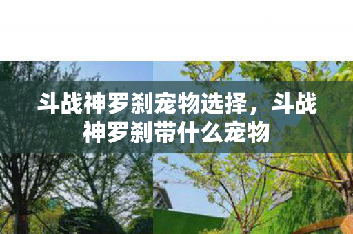 斗战神罗刹宠物选择，斗战神罗刹带什么宠物